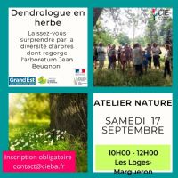 Dendrolgue en herbe. Le samedi 17 septembre 2022 aux Loges-Margueron. Aube.  10H00